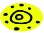 Anelli Mancanti Valdarno