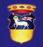 Comune di Greve in Chianti